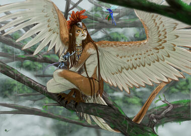 femme oiseau femme oiseau