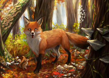 Renard d'automne Renard d'automne