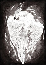 Phoenix Phoenix
