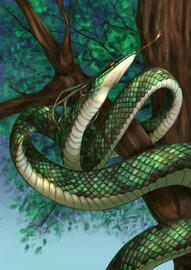 2025 Serpent de Bois