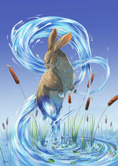 Lapin d'eau