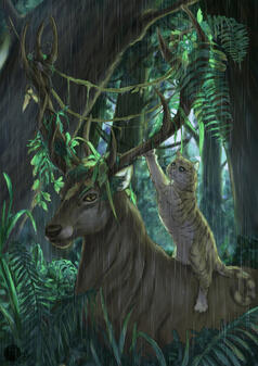 Cat and deer